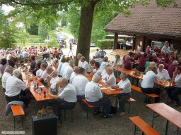 2010-07-Waldfest